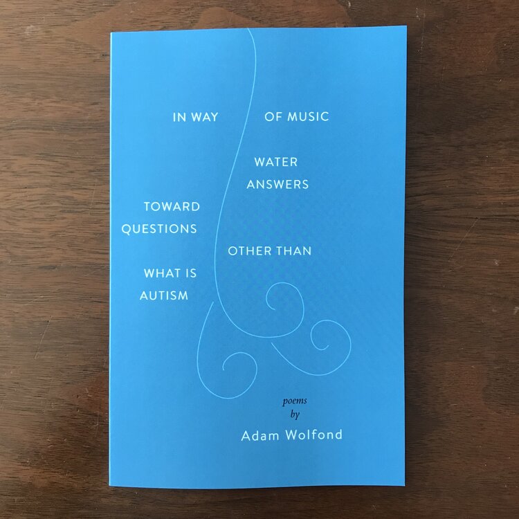 In Way of Music Water Answers Toward Questions Other Than What Is Autism by Adam Wolfond
